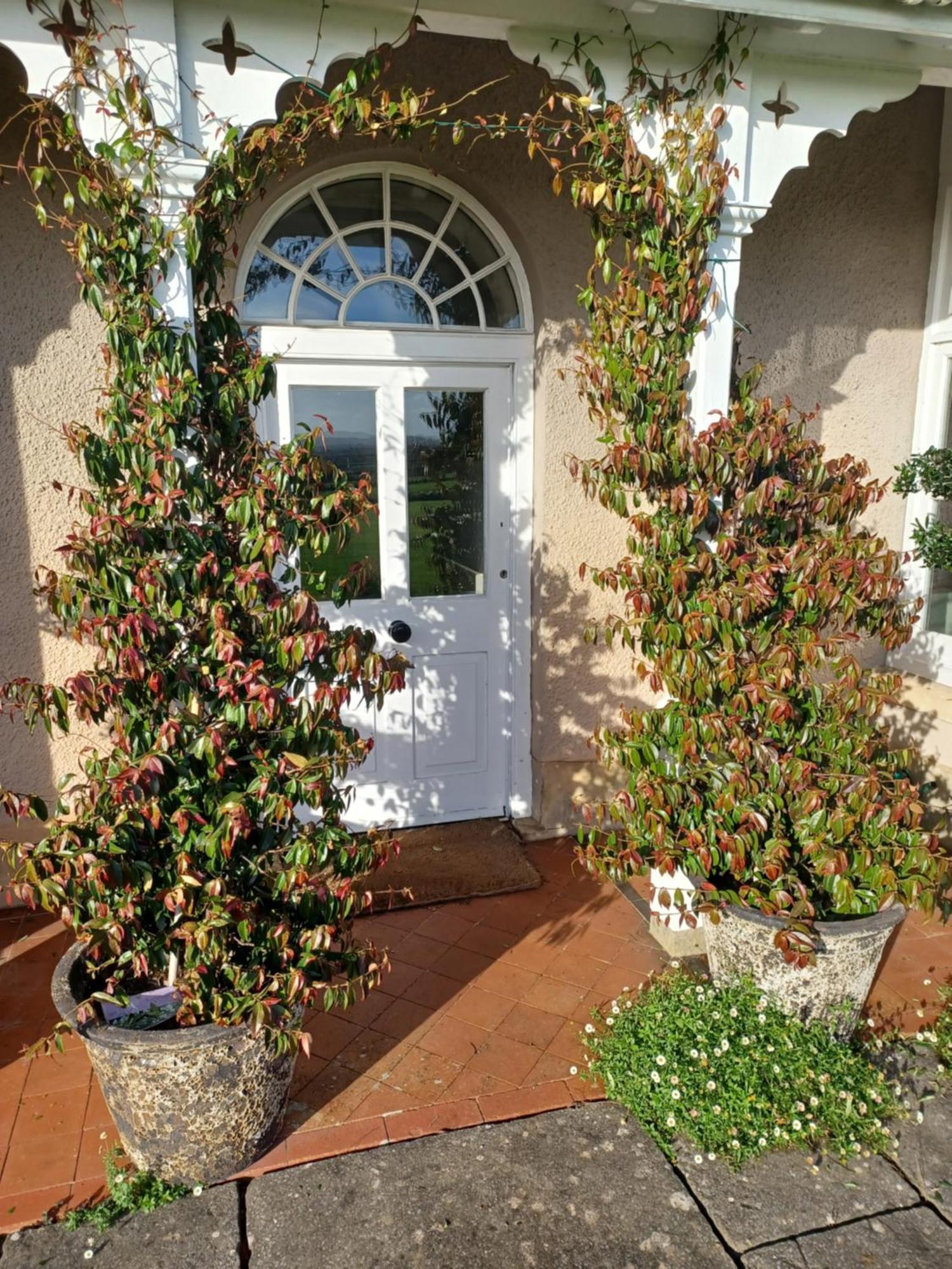 Rusling House Bed & Breakfast Butcombe Bagian luar foto